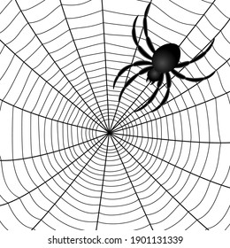 Spider web abstract drawing, vector illustration EPS 8