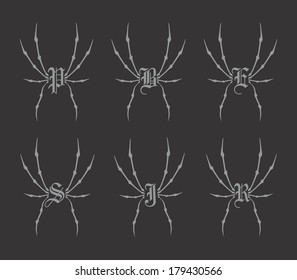 spider web art