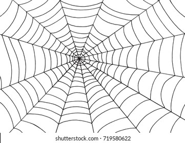 Spider web background, Doodle sketch vector art. Cartoon texture for halloween.