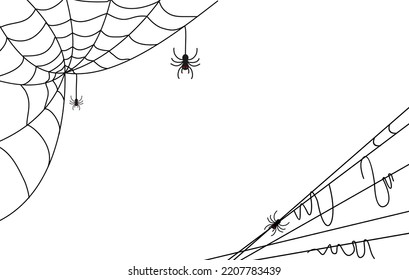 spider web background for halloween design, line art spider web