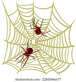 Spider-Webhintergrund für Halloween-Grußkarten auf weißem Hintergrund. Eine schwarz-rote Spinne auf einem gelben Stechmücken jagt und webt Netze. Spinnen von verschiedenen Seiten. Gefährliche Spinne und Cobweb