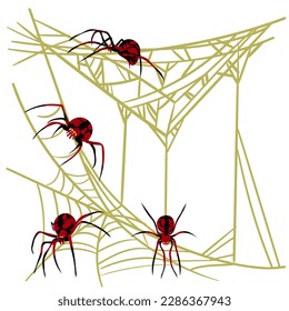 Spider web background for Halloween greeting cards on a white background. A black and red spider on a yellow cobweb hunts and weaves nets. Spiders from different sides. Dangerous spider and cobweb