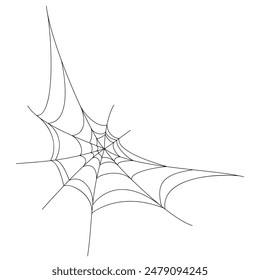 spider web background for hallowen design. spider web line art