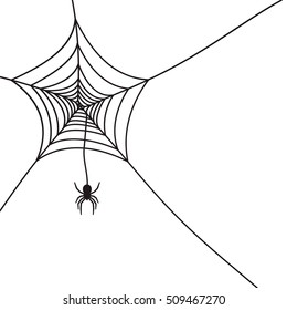 Spider web background on white. 