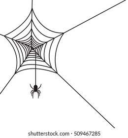 Spider web background on white. 