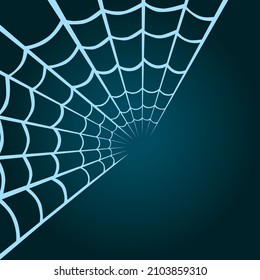 spider web, for background, vector illustrati