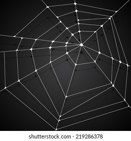 Spider web background. vector illustration.