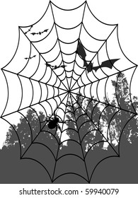 Spider web and bats