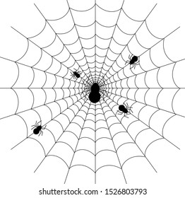 Spider web and black spider on thin web spider, white background