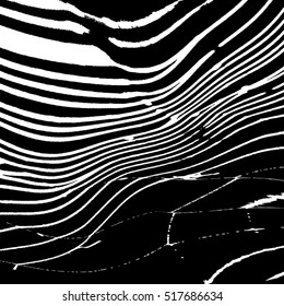 Spider Web Black Overlay Texture For Your Design. EPS10 vector.