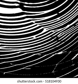Spider Web Black Overlay Texture For Your Design. EPS10 vector.