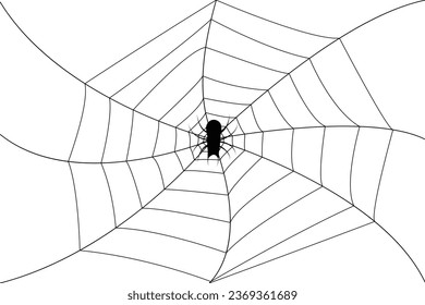 Spider web black silhouette icon on white background.