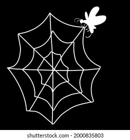 Spider web and butterfly in black and white