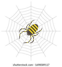 Spider and spider web. Cartoon illustration.