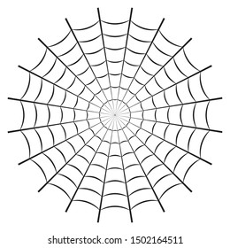 Spider web or cobweb. Halloween net background. Vector illustration.