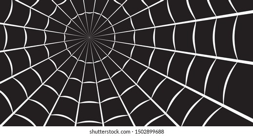 Spider web or cobweb. Halloween net background. Vector illustration.
