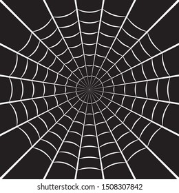 Spider web or cobweb. Halloween net background. Vector illustration.