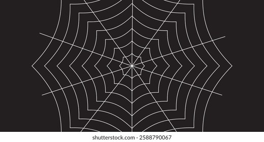 Spider web or cobweb. Halloween net background.