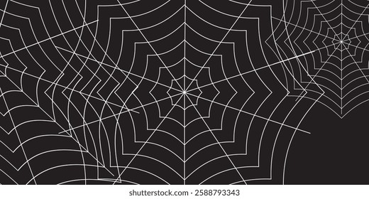 Spider web or cobweb. Halloween net background.