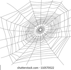 spider web or cobweb illustrations.