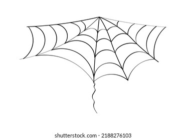 Spider web. Cobweb on a white background. Vector illustration