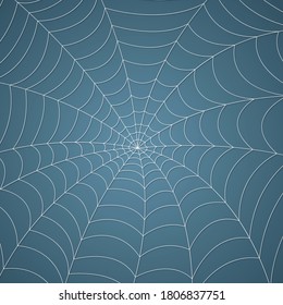 spider web, cobweb pattern background