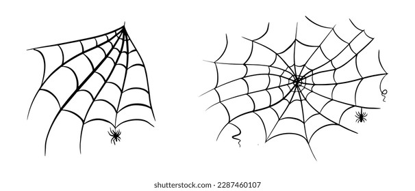 Spider web cobweb vector icon doodle.