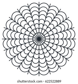 Spider web - Cobweb vector  on white background - illustration
