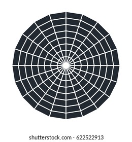 Spider web - Cobweb vector  on white background - illustration

