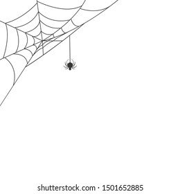 Spider web in the corner with a hanging spider. Vector illustration