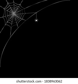 Spider web corner illustration for template. Halloween decoration with realistic cobweb. Simple spiderweb flat vector illustration. Horror, fear and creepy cartoon art concept. Net outline sketch.