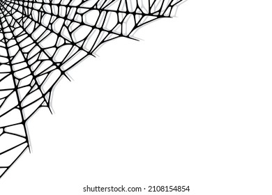 Spider web corner on white background. Spooky Halloween cobweb. Handrawn vector illustration
