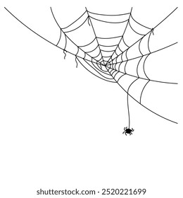 Vetor de canto da teia de aranha. Dia das Bruxas assustador fundo. Ilustração Cobweb em fundo branco.