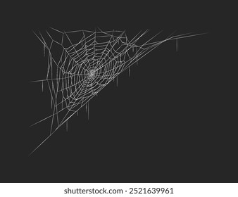 Spider web decoration hanging in darkness realistic vector icon. Cobweb for spooky and eerie atmosphere 3d object illustration on black background