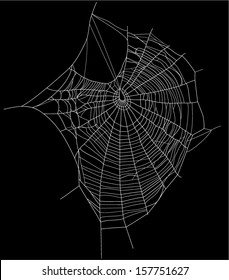 spider web detailed vector illustration - white threads over white