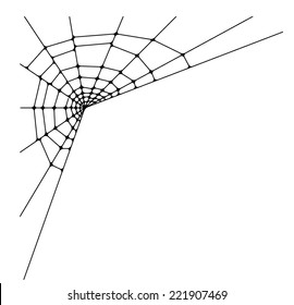 spider web detailed vector illustration 