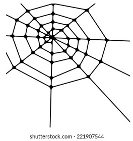 spider web detailed vector illustration 