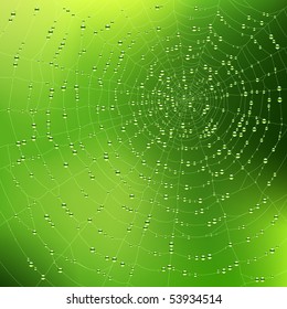 Spider web with dew drops. Vector. svg
