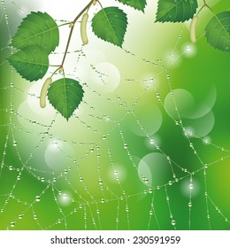 Spider web with dew and leaves of birch. Nature background. Vector illustration