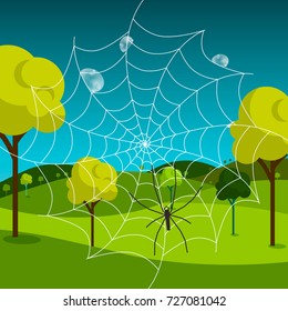 Spider Web with Dew and Meadow on Background