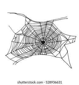 Spider web drawing. Halloween symbol. Isolated on white. Vector illustration. Realistic sketch.