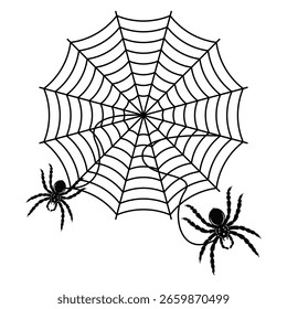 Spider web and spider drawing in linear silhouette form. Black and white line art for Halloween. Vector illustration.