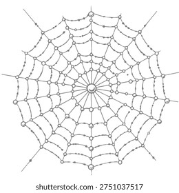 Spider Web Drawing Vector Illustration, Detailed Cobweb Line Art Isolated on White Background, Realistic Hand Drawn Spider Web Sketch, Creepy Halloween Spider Net Design Element