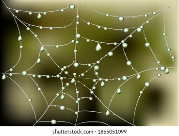 spider web with drops. 10 EPS