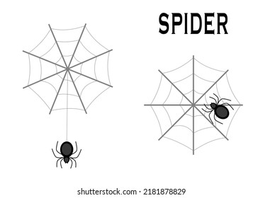 Spider and web. Flat style. Vector illustration 