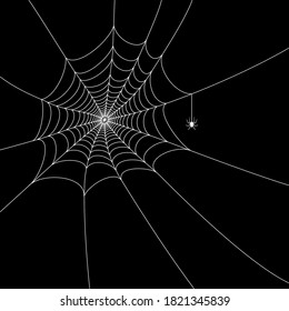 Spider web flat vector illustration. Halloween decoration with cobweb. Spiderweb outline graphic. Horror, fear and creepy cartoon art concept. Isolated scetch of net trap on black background.