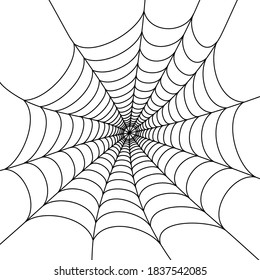 Spider web flat vector illustration. Halloween decoration with cobweb. Spiderweb outline graphic. Horror, fear and creepy cartoon art concept. Isolated scetch of net trap on white background.