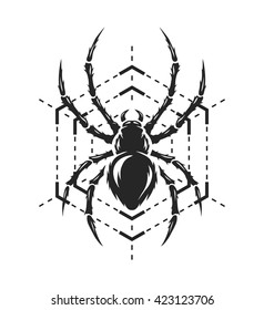 Spider and web in the form of a geometric figure.