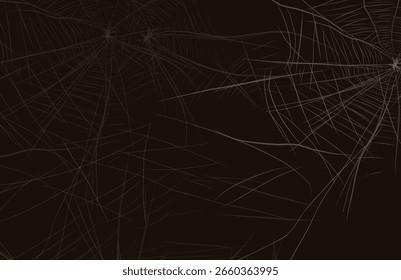 Araña Web grunge fondo negro decoration.eps