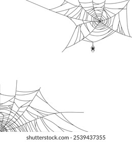 teia de aranha plano de fundo do dia das bruxas, aranha assustadora e teia de aranha no plano de fundo branco